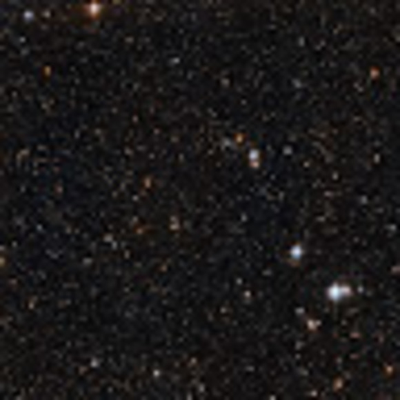 Meet your Posher, Helena - Picture 1 of 1